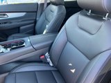 New 2025 Nissan Murano SL image 4