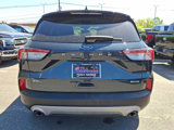 Certified 2022 Ford Escape SEL image 5