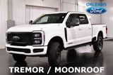 Used 2025 Ford F250 XLT w/ Black Appearance Package image 3