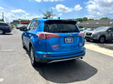 Used 2017 Toyota RAV4 Limited image 4