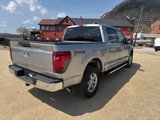 New 2025 Ford F150 XLT w/ Equipment Group 301A Standard image 5