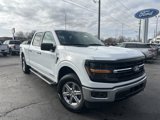 New 2025 Ford F150 XLT w/ Equipment Group 301A Standard image 3