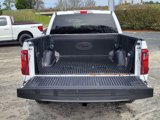 Used 2024 Ford F150 STX image 5