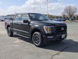 Certified 2023 Ford F150 XLT w/ Equipment Group 302A High image 2