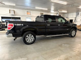 Used 2014 Ford F150 XLT w/ XLT Chrome Package image 4