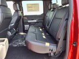 New 2025 Ford F150 Lariat image 6