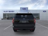 New 2025 Ford Expedition Active image 5