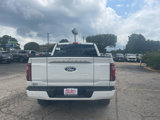 New 2025 Ford F150 Platinum image 5