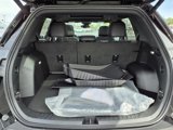 New 2026 Chevrolet Equinox ACTIV w/ Convenience Package III image 4