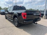 Certified 2023 Ford F150 XLT w/ Equipment Group 302A High image 6