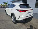 Used 2022 Lexus NX 350 AWD w/ Premium Package image 4