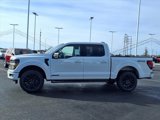 New 2025 Ford F150 XLT w/ Equipment Group 302A MID image 4