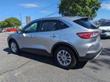 Used 2022 Ford Escape SE image 6