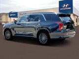 New 2025 Hyundai Palisade Calligraphy image 4