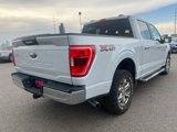 Used 2022 Ford F150 XLT image 5