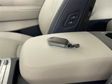 New 2025 Kia Carnival SX Prestige image 4