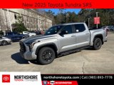 New 2025 Toyota Tundra SR5 image 1