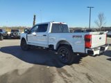 New 2025 Ford F250 XL image 5