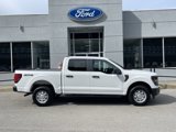 New 2025 Ford F150 XL image 2