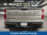 New 2025 Chevrolet Silverado 1500 Custom Trail Boss w/ Turbomax Blackout Package image 3
