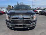 Used 2019 Ford F150 XLT w/ Equipment Group 302A Luxury image 2