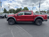 Certified 2023 Ford F150 Raptor w/ Raptor Carbon Fiber Package image 4