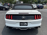Used 2016 Ford Mustang Premium w/ Pony Package image 4