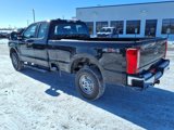 New 2025 Ford F250 XL image 2