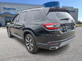 New 2025 Honda Pilot Elite image 3