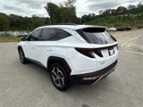New 2024 Hyundai Tucson Limited image 4