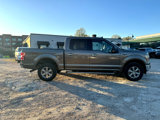 Used 2019 Ford F150 XLT w/ Equipment Group 302A Luxury image 4