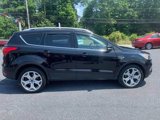 Used 2019 Ford Escape Titanium image 5