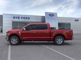New 2025 Ford F150 XLT w/ Equipment Group 302A MID image 4