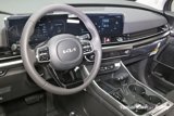 New 2025 Kia Carnival SX image 2