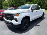 New 2025 Chevrolet Silverado 1500 Custom Trail Boss image 3