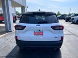 New 2025 Ford Escape ST-Line Elite image 4