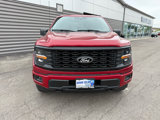 New 2025 Ford F150 STX w/ STX Black Appearance Package image 3