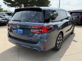 New 2026 Honda Odyssey Elite image 5