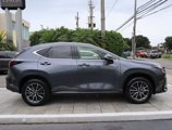 New 2025 Lexus NX 250 FWD w/ Premium Package image 4