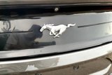 Used 2018 Ford Mustang Coupe image 5