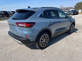 Used 2024 Ford Escape SE image 4
