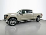 New 2025 Ford F150 XLT w/ Equipment Group 303A High image 3