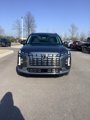 New 2025 Hyundai Palisade Calligraphy image 2