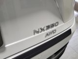 Certified 2025 Lexus NX 350 AWD w/ Premium Package image 5