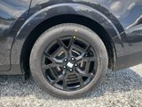 New 2026 Kia Carnival SX Prestige image 5
