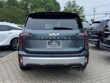 Used 2024 Kia Telluride SX Prestige image 6