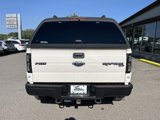 Used 2010 Ford F150 Raptor image 4