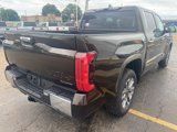 New 2025 Toyota Tundra 1794 Edition image 5