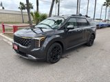 New 2025 Kia Carnival SX Prestige image 3