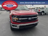 New 2025 Ford F150 XLT image 5